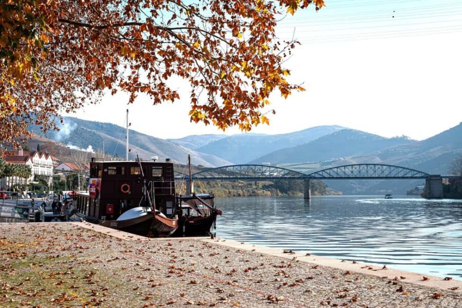 Douro Valley Tour: Visit 2 Wineries, Lunch & River Cruise - A smart Douro plan from Porto (10 hours, not a week)