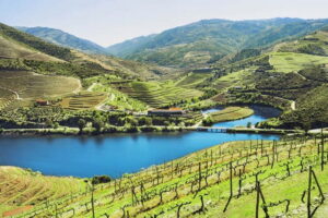 Douro Valley Tour: Visit 2 Wineries, Lunch & River Cruise - Getting started at Palácio da Bolsa: the day begins on time