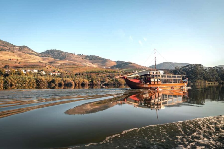 Douro Valley Tour: Visit 2 Wineries, Lunch & River Cruise - The N222 road drive: why the views feel effortless