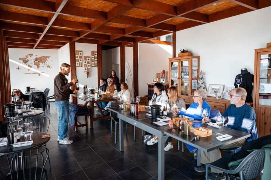 Douro Valley Tour: Visit 2 Wineries, Lunch & River Cruise - Two wine estates: tasting DOC Douro and Port the right way