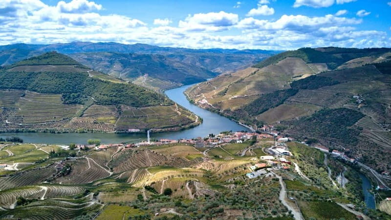 Douro Valley Tour: Visit 2 Wineries, Lunch & River Cruise - Comfort and timing: small-group travel that doesn’t feel rushed
