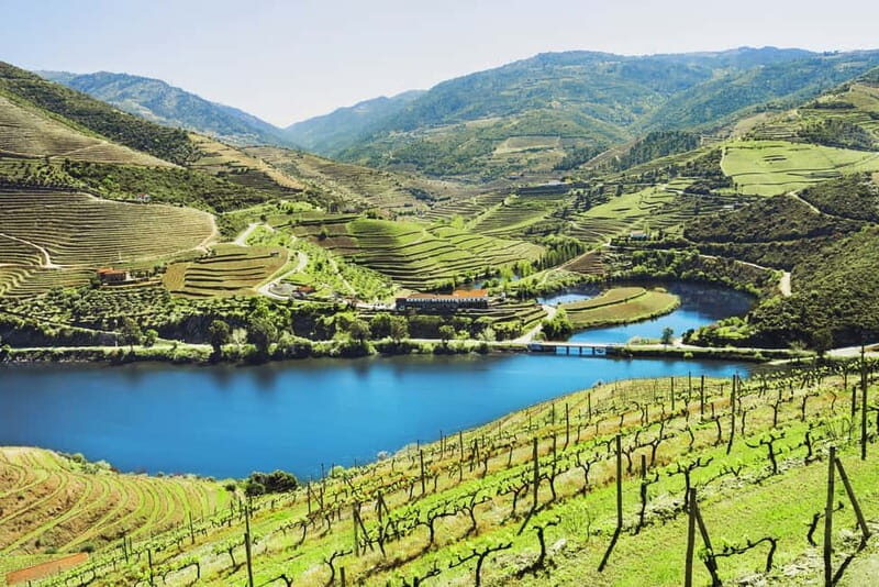 Douro Valley Tour: Visit 2 Wineries, Lunch & River Cruise - Getting started at Palácio da Bolsa: the day begins on time
