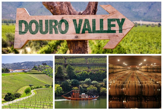 Douro Valley Tour: Wine Tasting, Cruise and Lunch from Porto - Why This Douro Tour Works So Well for Most People