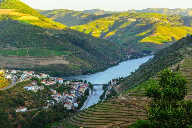 Douro Valley Tour: Wine Tasting, Cruise and Lunch from Porto - Second Half Sightseeing and the Viewpoint Payoff