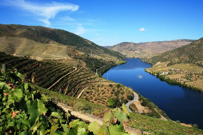 Douro Valley Wine Tour: 3 Vineyard Visits, Wine Tastings, Lunch - A Full-Day Douro Plan From Porto: timings and comfort