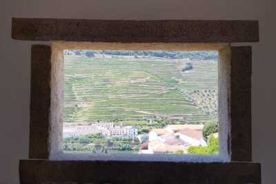 Douro Valley Wine Tour: 3 Vineyard Visits, Wine Tastings, Lunch - National Road 222 drive: why this route matters for photos