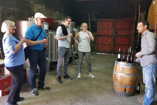 Douro Valley Wine Tour: 3 Vineyard Visits, Wine Tastings, Lunch - What’s really included: tastings, honey and olive oil, and wine pairing