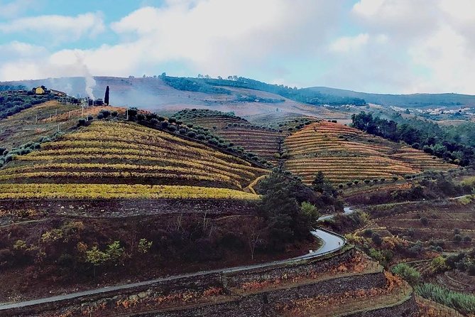 Douro Valley with Two Winery, Boat Trip and Lunch From Porto - Key Things That Make This Douro Tour Worth Your Time