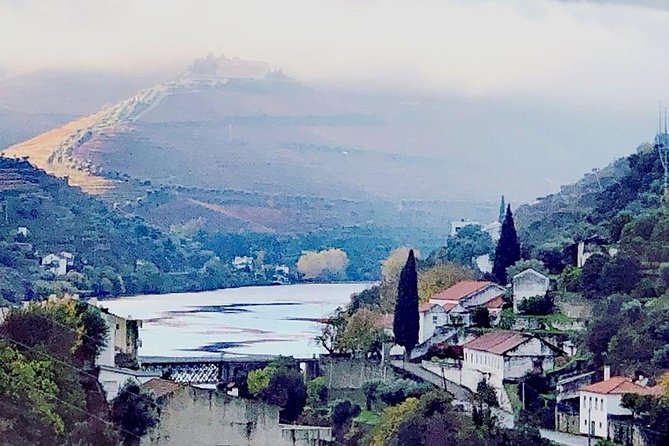Douro Valley with Two Winery, Boat Trip and Lunch From Porto - Port Estate Visit: How Terroir Shows Up in the Glass