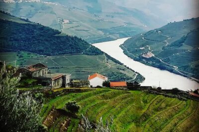 Douro Valley with Two Winery, Boat Trip and Lunch From Porto - Meeting at Igreja da Lapa and the Amarante Warm-Up Stop