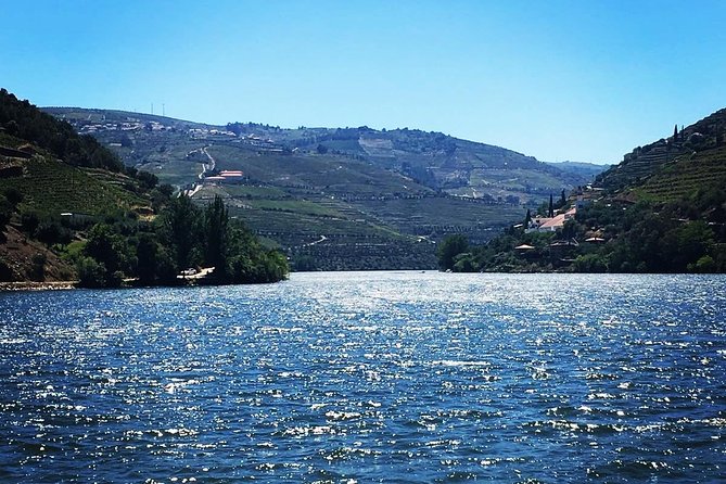 Douro Valley with Two Winery, Boat Trip and Lunch From Porto - Tabuaço Lunch: Real Portuguese Plates Between Tastings