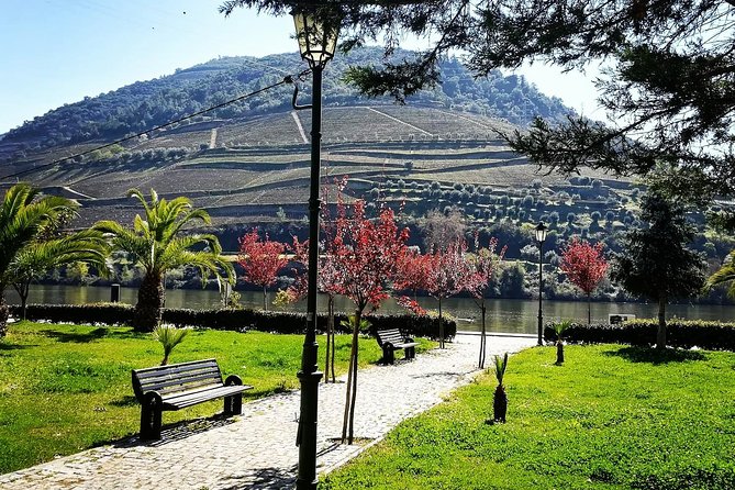 Douro Valley with Two Winery, Boat Trip and Lunch From Porto - Driving Time, Photo Stops, and Motion-Sickness Planning