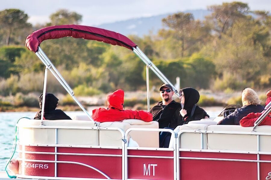 Faro: Ria Formosa Faro Islands Boat Tour - What $47 Buys You: Value Breakdown That Makes Sense