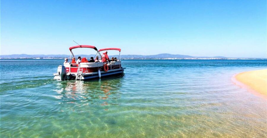 Faro: Ria Formosa Faro Islands Boat Tour - Faro’s Ria Formosa Tour: A 3-Hour Escape From the City Core