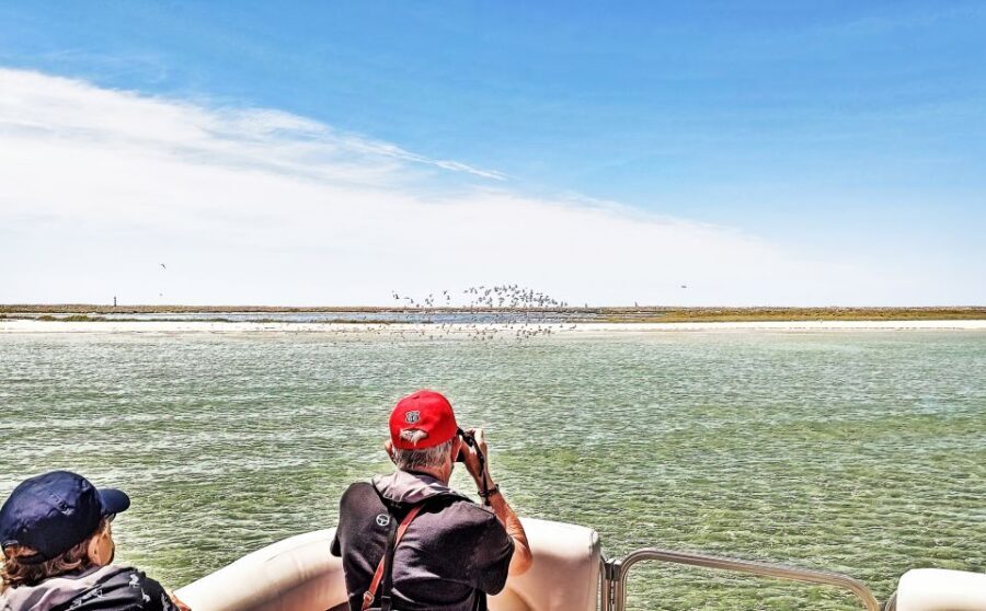 Faro: Ria Formosa Faro Islands Boat Tour - Ilha do Farol: Santa Maria Lighthouse Views and Island Time