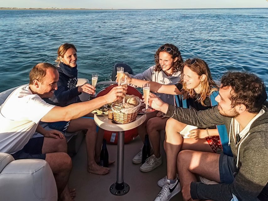 Faro: Ria Formosa Faro Islands Boat Tour - Bird Spotting That Feels Intentional, Not Random