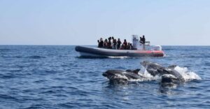 From Albufeira: Benagil Caves and Dolphins Guided Boat Tour - The cave route: what you’re really seeing (and why it’s special)
