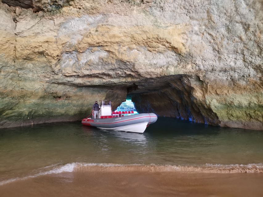 From Albufeira: Benagil Caves and Dolphins Guided Boat Tour - Secret beaches and rock formations: the coastline moments you’ll remember
