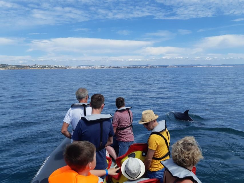 From Albufeira: Benagil Caves and Dolphins Guided Boat Tour - Swimming time: how the sea decides your schedule