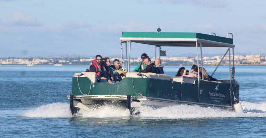 From Faro: 4 Stops, 3 Islands in Ria Formosa Catamaran Tour - Ilha Deserta: 45 minutes to swim and snorkel at the mainland’s southern edge