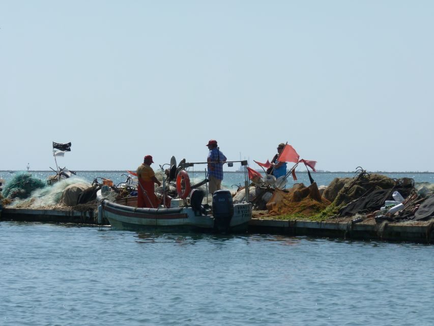 From Faro: 4 Stops, 3 Islands in Ria Formosa Catamaran Tour - Ilha do Farol: lighthouse photos and that small-island Algarve feel