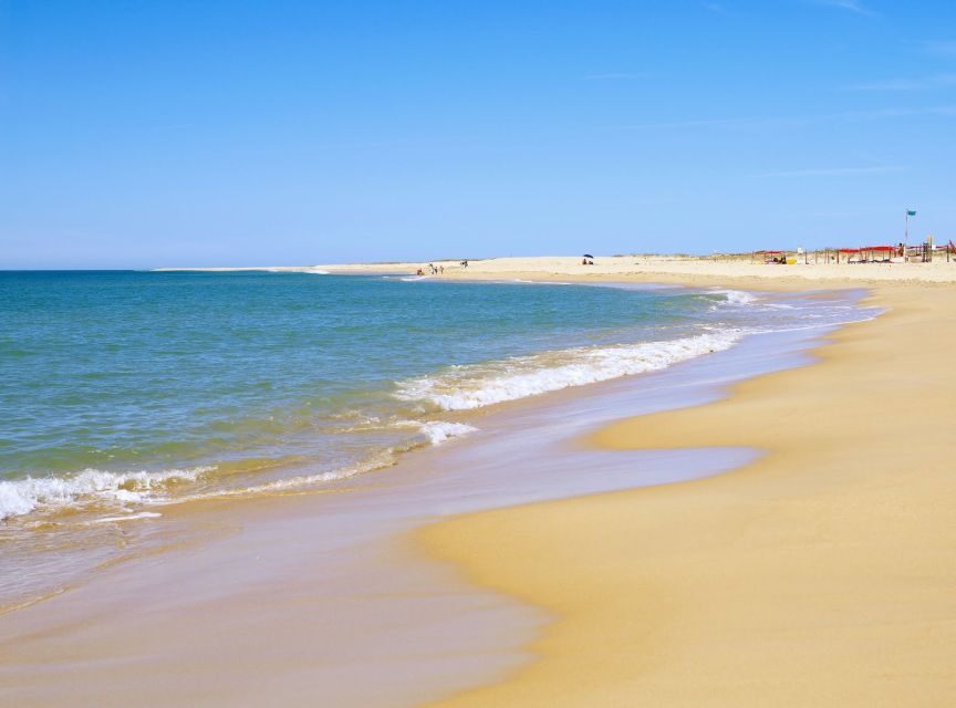 From Faro: 4 Stops, 3 Islands in Ria Formosa Catamaran Tour - Oyster farming at the hangares: seeing how the tide drives farming