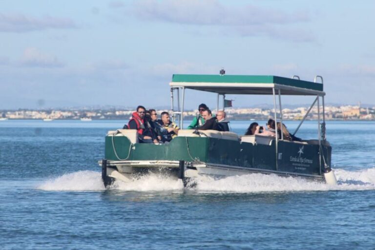 From Faro: 4 Stops, 3 Islands in Ria Formosa Catamaran Tour - The first bird-watching crossing: marsh edges and quick nature lessons