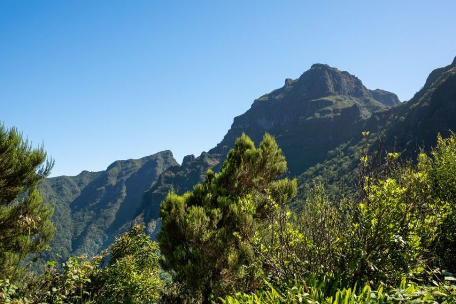 From Funchal: Best of Madeira's West Tour - What to pack for a day that changes altitude fast