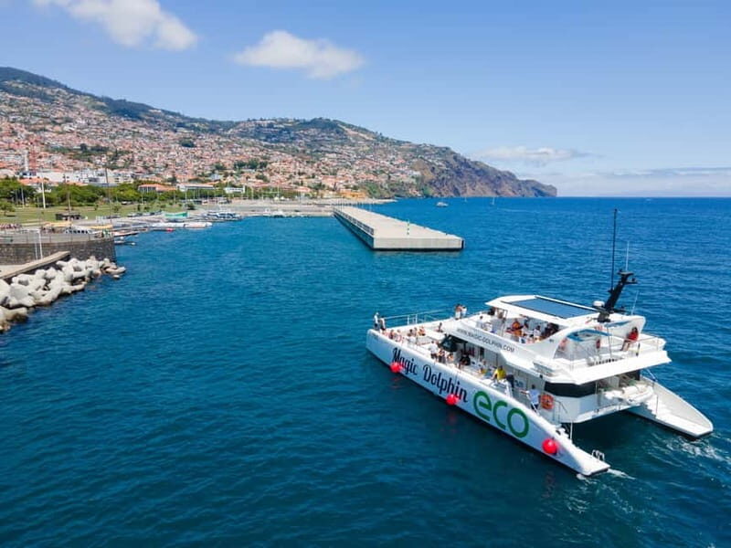 From Funchal: Ecological Catamaran Dolphin Whale Watching - Should You Book Magic Dolphin Eco Catamaran Dolphin and Whale Watching?