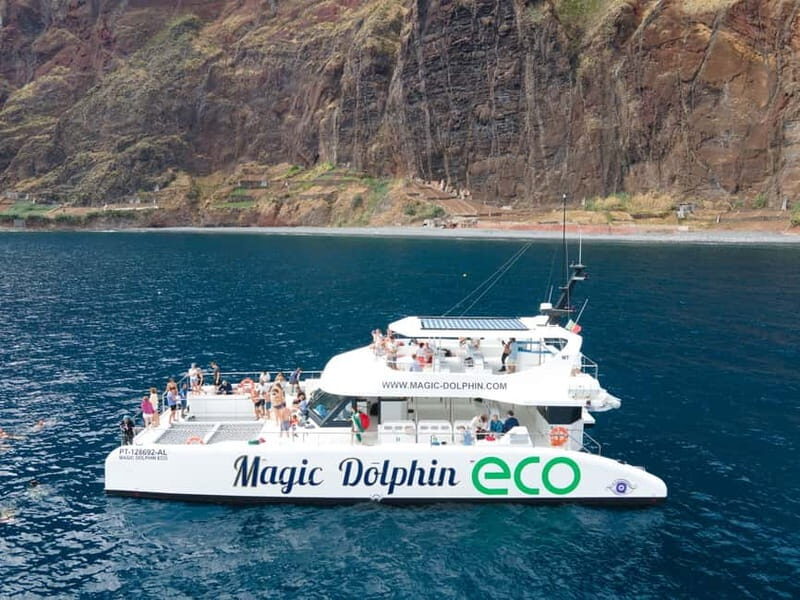 From Funchal: Ecological Catamaran Dolphin Whale Watching - From Funchal Marina Out to the Southern Coast: How the Hunt Works