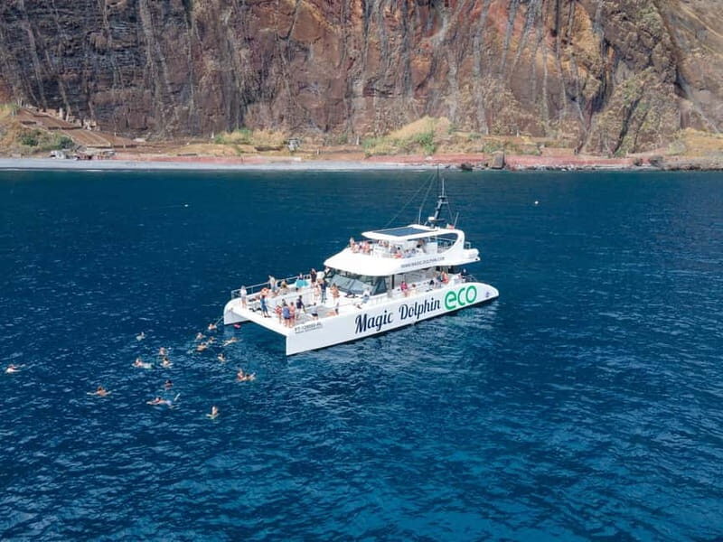 From Funchal: Ecological Catamaran Dolphin Whale Watching - The Magic Dolphin Catamaran: Comfort, Space, and Practical Onboard Setup