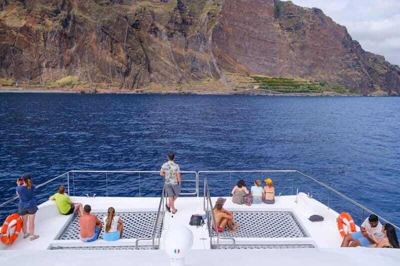 From Funchal: Ecological Catamaran Dolphin Whale Watching - Hybrid-Electric and Silent Cruising: What It Means for Your Experience