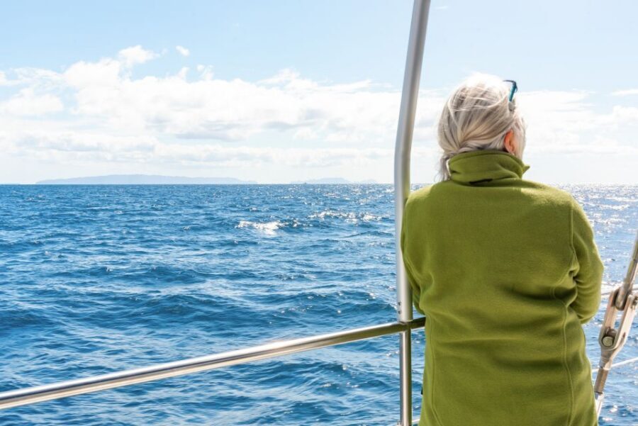 From Funchal: Madeira Dolphin and Whale Watching Tour - A 3-hour catamaran hunt off Madeira’s south coast