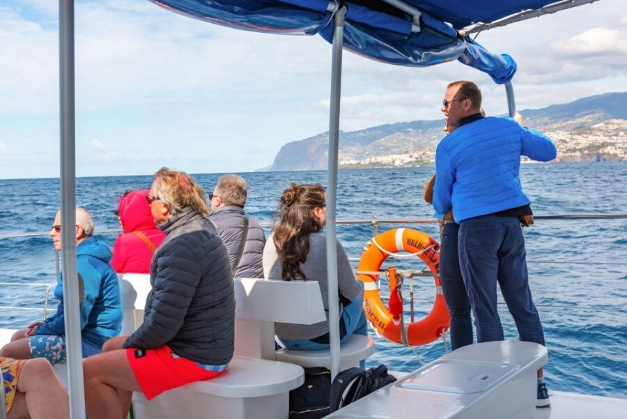 From Funchal: Madeira Dolphin and Whale Watching Tour - Onboard comfort on the VMT Madeira catamaran