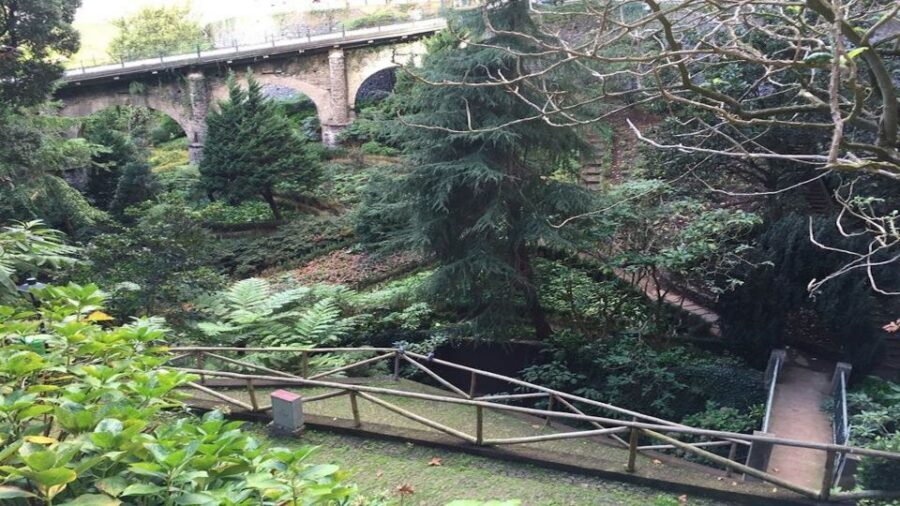 From Funchal: Nuns Valley, Monte and Sleigh Ride Tour - Monte toboggan ride: the 2-kilometer Livramento descent