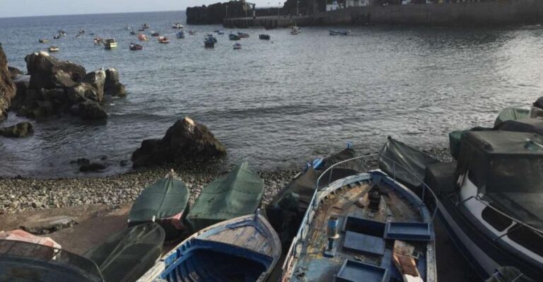 From Funchal: West Madeira and Laurel Forest Day Trip - Câmara de Lobos: fishing village color and terrace farming