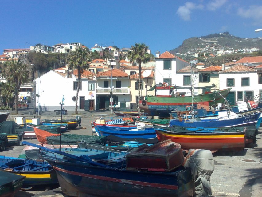From Funchal: West Madeira Waterfalls and Fanal Forest Tour - Who This Tour Suits Best (and Who Should Rethink It)