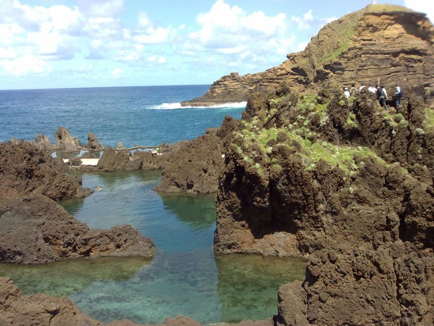 From Funchal: West Madeira Waterfalls and Fanal Forest Tour - A Full 8 Hours Covering West Madeira Without the Car Stress