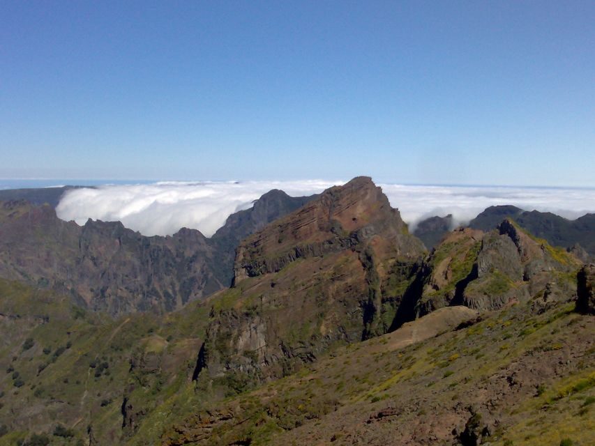 From Funchal: West Madeira Waterfalls and Fanal Forest Tour - Paul da Serra and Fanal Forest: The 600-Year Trees and the Fog Effect