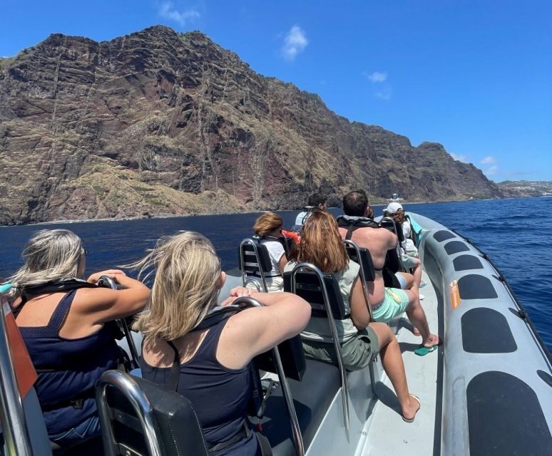 From Funchal: Whale and Dolphin Watching - Key things to notice before you go