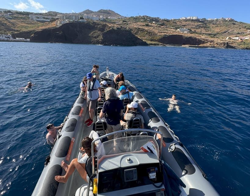 From Funchal: Whale and Dolphin Watching - Whale watching phase: from pilot whales to sperm whales