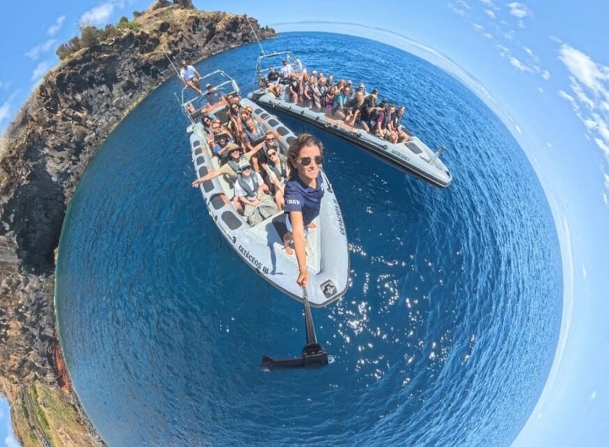 From Funchal: Whale and Dolphin Watching - Price and value: why $56 feels fair for what you get