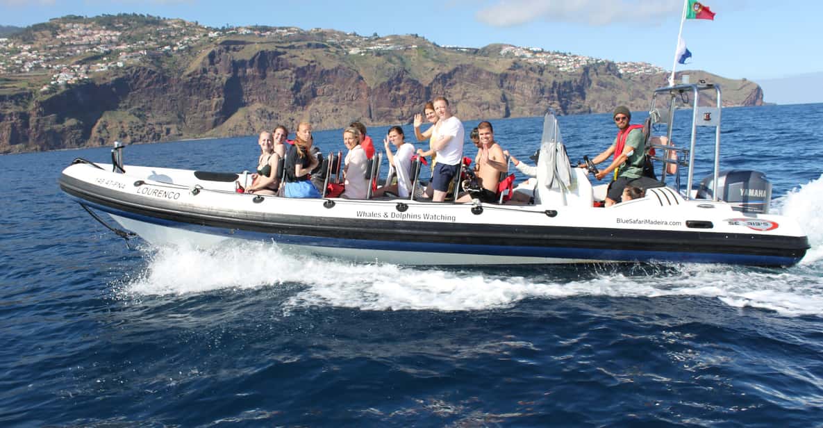 From Funchal: Whales and Dolphin Adventure Tour - Key Things I’d Bet On
