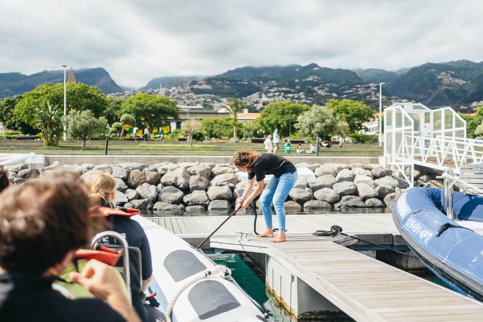 From Funchal: Whales and Dolphin Adventure Tour - Whale and Dolphin Spotting: Letting the Crew Read the Ocean