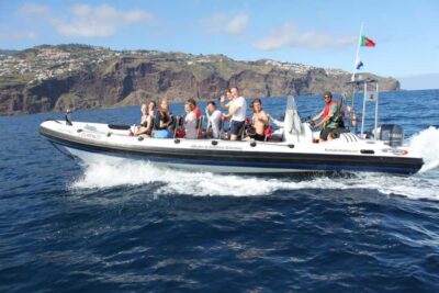 From Funchal: Whales and Dolphin Adventure Tour - How the 2-Hour Cruise Actually Plays Out