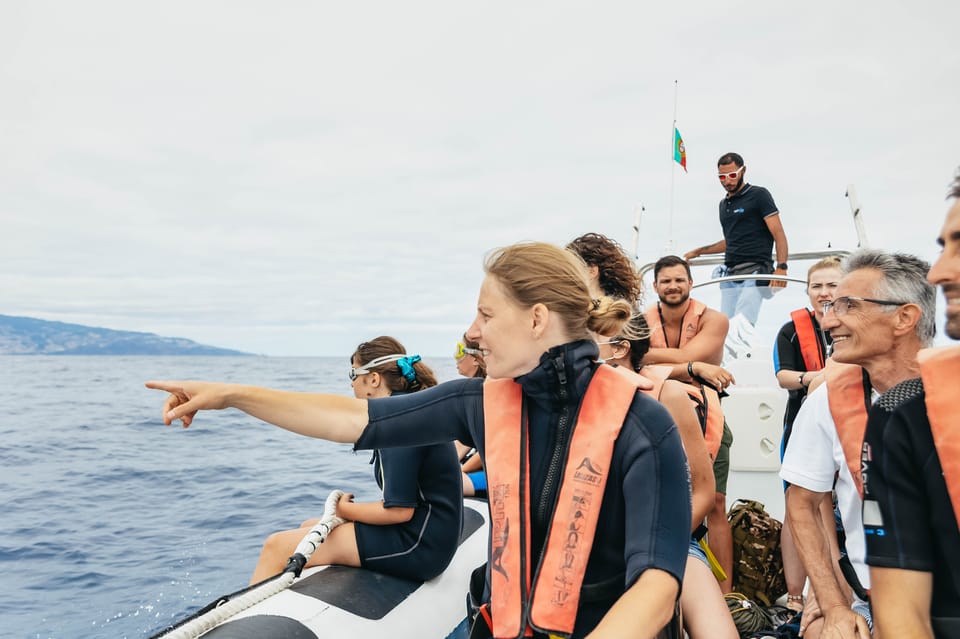 From Funchal: Whales and Dolphin Adventure Tour - Guides and Crew: The Real Reason This Feels Special