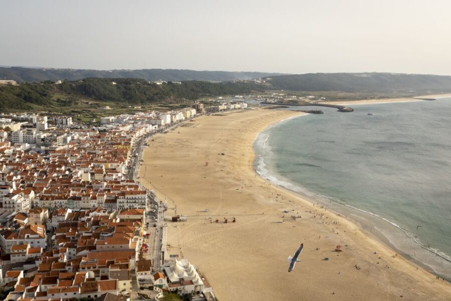 From Lisbon: Day Trip to Porto, Óbidos, and Nazaré - Should you book this Lisbon day trip to Porto, Óbidos, and Nazaré?