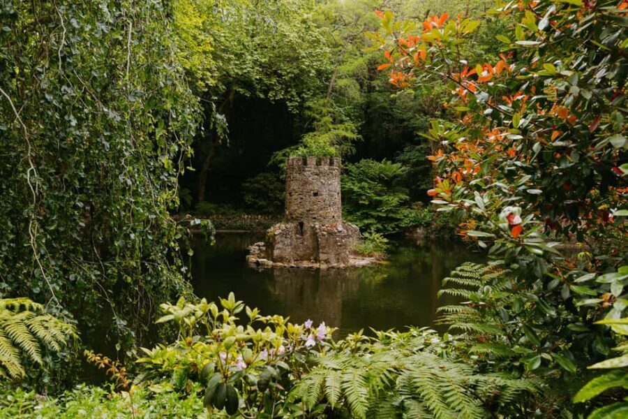 From Lisbon: Sintra, Pena Palace and Quinta da Regaleira - Key things you’ll notice right away