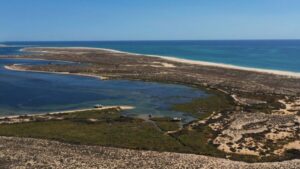 From Olhão: Ria Formosa 3-Island Full-Day Tour - From Olhão to the Islands: How the Boat Day Really Feels