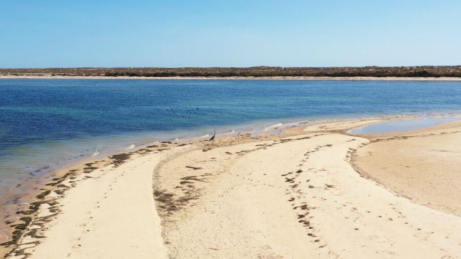 From Olhão: Ria Formosa 3-Island Full-Day Tour - Culatra Island: Fishing Life, Beach Time, and Food Choices